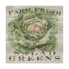 Trademark Fine Art Sue Schlabach 'Farm Fresh Greens' Canvas Art, 24x24 WAP08138-C2424GG